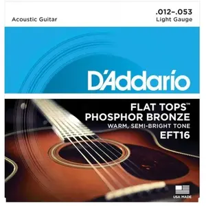 D'Addario EFT16, guitare à résonateur, 12-53 - phosphore bronze - filet supérieur plat pas cher