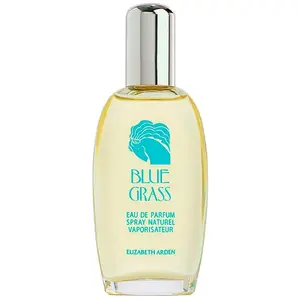 Elizabeth Arden - Blue Grass pas cher