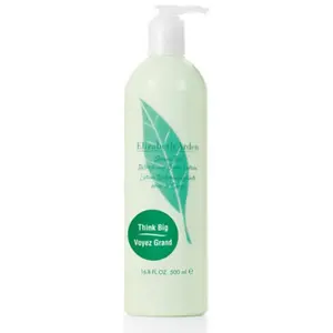 Green Tea - Lait Parfumé pour le Corps-500ml ELIZABETH ARDEN pas cher