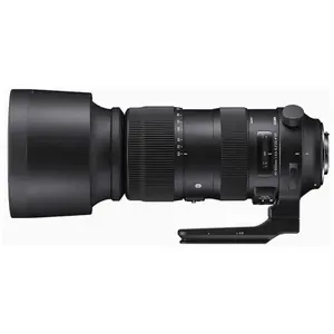 Sigma 60-600mm F4.5-6.3 DG OS HSM S SLR Téléobjectif pas cher