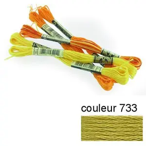 DMC Fil à broder 117 mouliné - couleur 733 pas cher