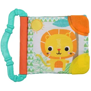 Bright Starts Teethe & Read - Assortiment pas cher