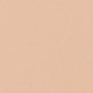 Almost Powder SPF15 - Teint Poudre Naturel 10Gr- CLINIQUE pas cher