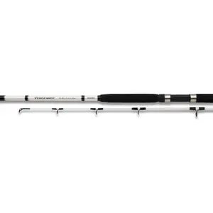 CANNE SHIMANO VENGEANCE BOAT AX 240 H 2 PCSVendu parkaufland