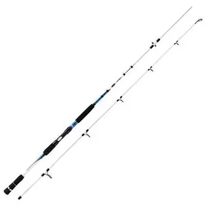 Mitchell Canne Spinning Avocet Salt pas cher