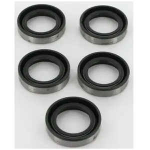Briggs&Stratton Contient 5 x 391483S pas cher