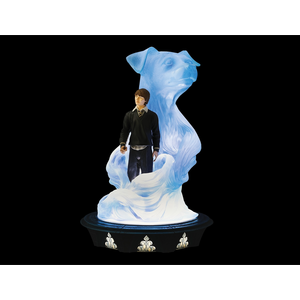 Comparateur de prix : Enesco Harry Potter Ron & Patronus Light Up Collectible Figurine (29cm)