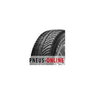 Cooper Discoverer Winter XL 235 55 17 H 99 Winter pas cher