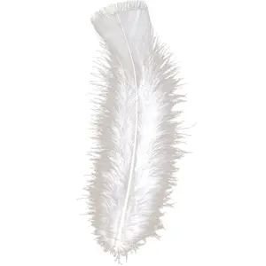 Comparateur de prix : Sachet De 50 Plumes Blanches