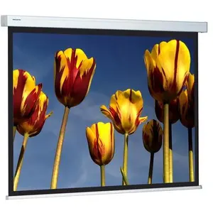 Da-Lite Projecta Compact Electrol 156x156 MW 1:1 (1:1), Écran de projection, B... pas cher