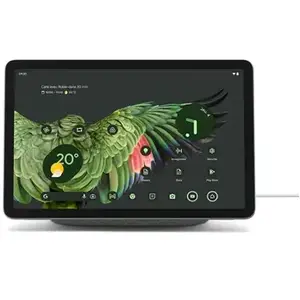 Google Tablette Google Pixel Tablet 128 Go 10.95 pouces Noisette pas cher