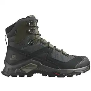 Salomon Quest Element Gore-Tex M Chaussures homme Noir 40 pas cher
