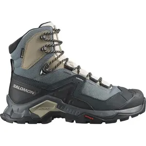 Comparateur de prix : Chaussures de marche Salomon Quest Element GORE-TEX bleu noir femme - 38