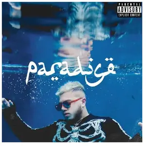 Comparateur de prix : Paradise Hamza (Interprète) Vinyle album