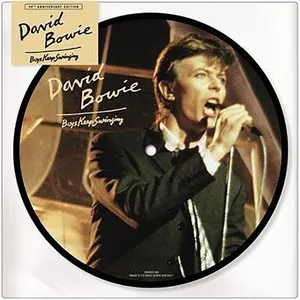 Comparateur de prix : PLG UK CATALOG Boys Keep Swinging Picture Disc