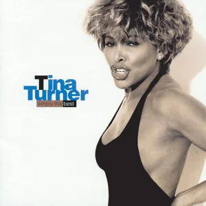 Comparateur de prix : PLG UK CATALOG Simply The Best Tina Turner (Interprète) Vinyle album