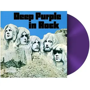 Comparateur de prix : PLG UK CATALOG In Rock Vinyle Violet