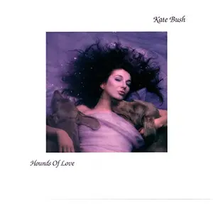 Parlophone Hounds of Love (2018 Remaster) [Vinyl LP]