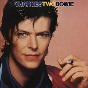 Comparateur de prix : PLG UK CATALOG David Bowie - Changes Two Bowie (Reissue) (LP)