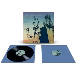 WARNER MUSIC Robert Plant & Alison Krauss - Raise The Roof (2 LP)Vendu parrakuten