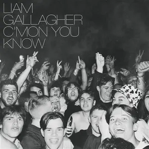 Warner Music Liam Gallagher - C'mon You Know - VinylVendu parrue-du-commerce