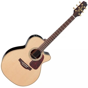 Comparateur de prix : Takamine Japon P5Nc Natural Satin