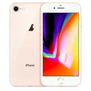 Apple - iPhone 8 - 64 Go - - Correct - Or pas cher