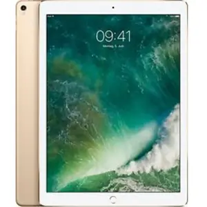 Apple iPad Pro 12,9 256 Go [Wi-Fi + Cellulaire, modèle 2017] or pas cher