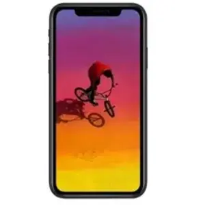 Apple iPhone XR 15,5 cm (6.1") Double SIM iOS 12 4G 64 Go Noir pas cher