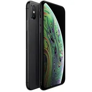 Apple iPhone XS 14,7 cm (5.8") Double SIM iOS 12 4G 512 Go Gris pas cher