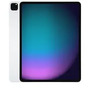 Apple iPad Pro 12,9 256 Go [Wifi, modèle 2020] argent pas cher