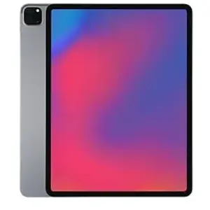 Apple iPad Pro 12,9 1To [Wifi + Cellular, modèle 2020] gris sidéral pas cher