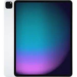Apple iPad Pro 12,9 256 Go [Wifi + Cellular, modèle 2020] argent pas cher