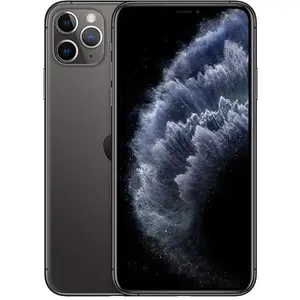 Apple iPhone 11 Pro Max 16,5 cm (6.5") Double SIM iOS 13 4G 64 Go Gris pas cher