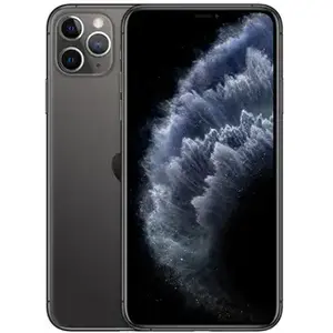 Apple iPhone 11 Pro Max 16,5 cm (6.5") Double SIM iOS 13 4G 512 Go Gris pas cher