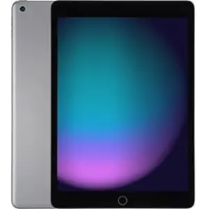 Apple iPad 10,2"" 7th Generation Wi-Fi 32 GB Space gris MW742FD/A pas cher