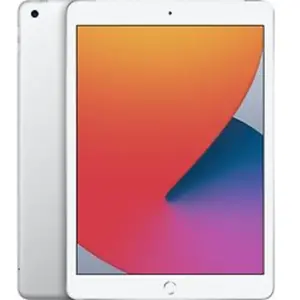 Apple iPad 10,2 32 Go [Wifi + Cellular, modèle 2020] argent pas cher
