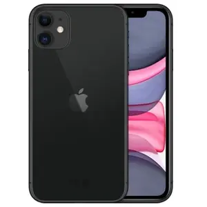 Apple iPhone 11 15,5 cm (6.1") Double SIM iOS 13 4G 256 Go Noir pas cher