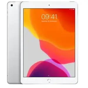 Apple iPad 10,2 128 Go [Wifi + Cellulaire, ModÃ¨le 2019] argent pas cher