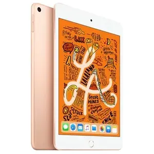 Apple Tablette Apple iPad mini 5 (2019) Wi-Fi 64 Go 7.9 pouces Or