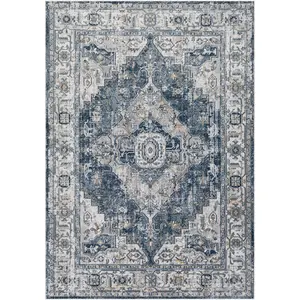 SURYA Tapis vintage oriental bleu gris ivoire 200x275 cm DALILA pas cher