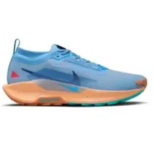 Chaussures de trail Nike Pegasus 5 Gore-Tex Bleu 40 FQ0908-400 pas cher