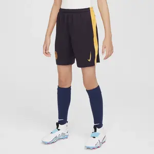 Comparateur de prix : Nike Short Third enfant Inter Milan 2024/25 Bleu 13/15 ans FQ2262-498