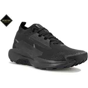 Chaussures de trail Nike Pegasus 5 Gore-Tex Noir 45 FQ0908-002 pas cher