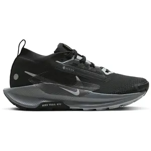 Nike Pegasus Trail 5 GTX pas cher