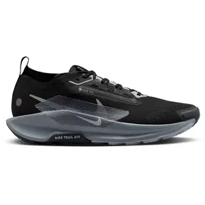 Chaussures de trail Nike Pegasus Trail 5 GORE-TEX Noir 40,5 FQ0908-001