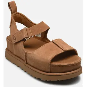 Comparateur de prix : W Goldenstar Hi par UGG Marron 41 Femme