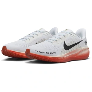 Chaussure de running sur route Nike Pegasus 41 « Eliud Kipchoge » pour homme - Blanc 46 HJ7037-100