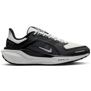 Nike Pegasus 41 Gore-Tex Chaussures femme Gris/argent 40 pas cher