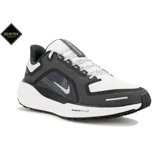 Chaussures de running Nike Pegasus 41 GORE-TEX Noir 46 FQ1356-002